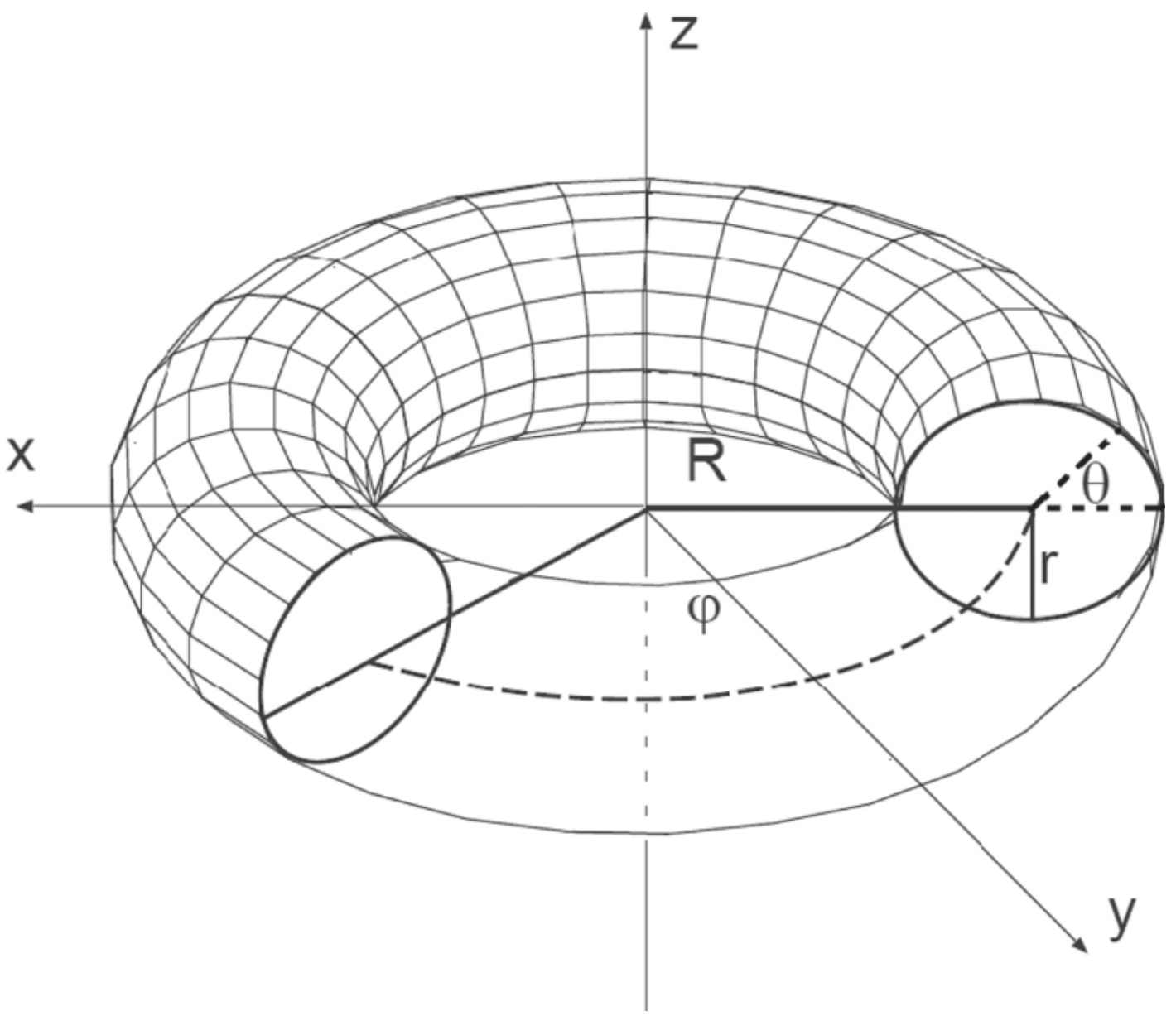torus